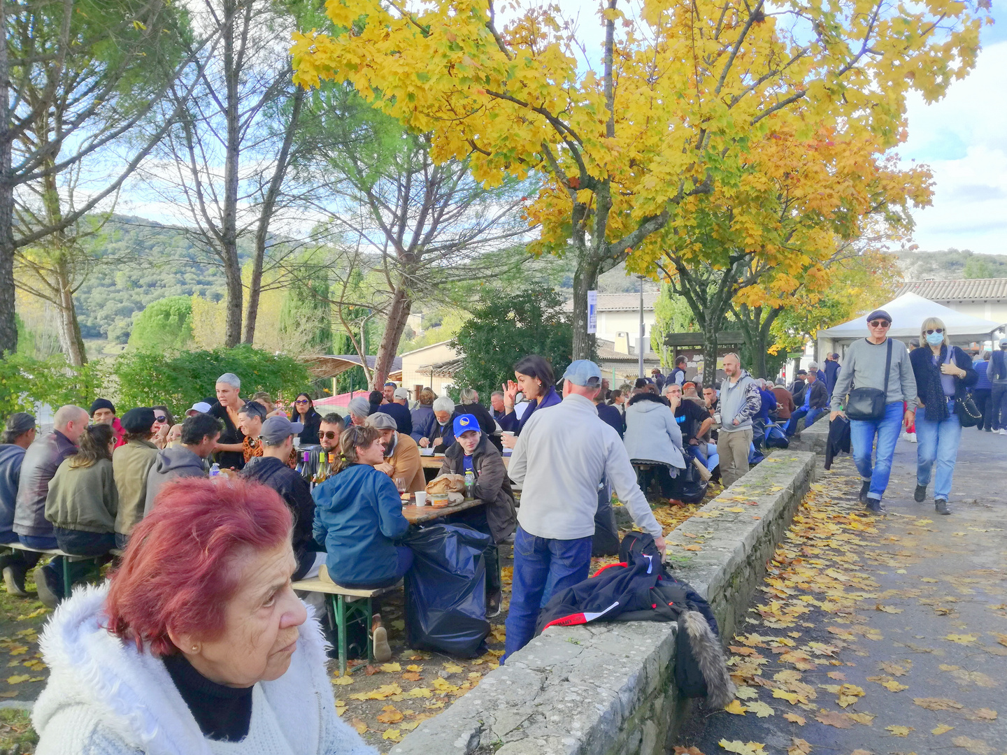 Couleurs et Senteurs de la Garrigue