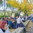 Couleurs et Senteurs de la Garrigue