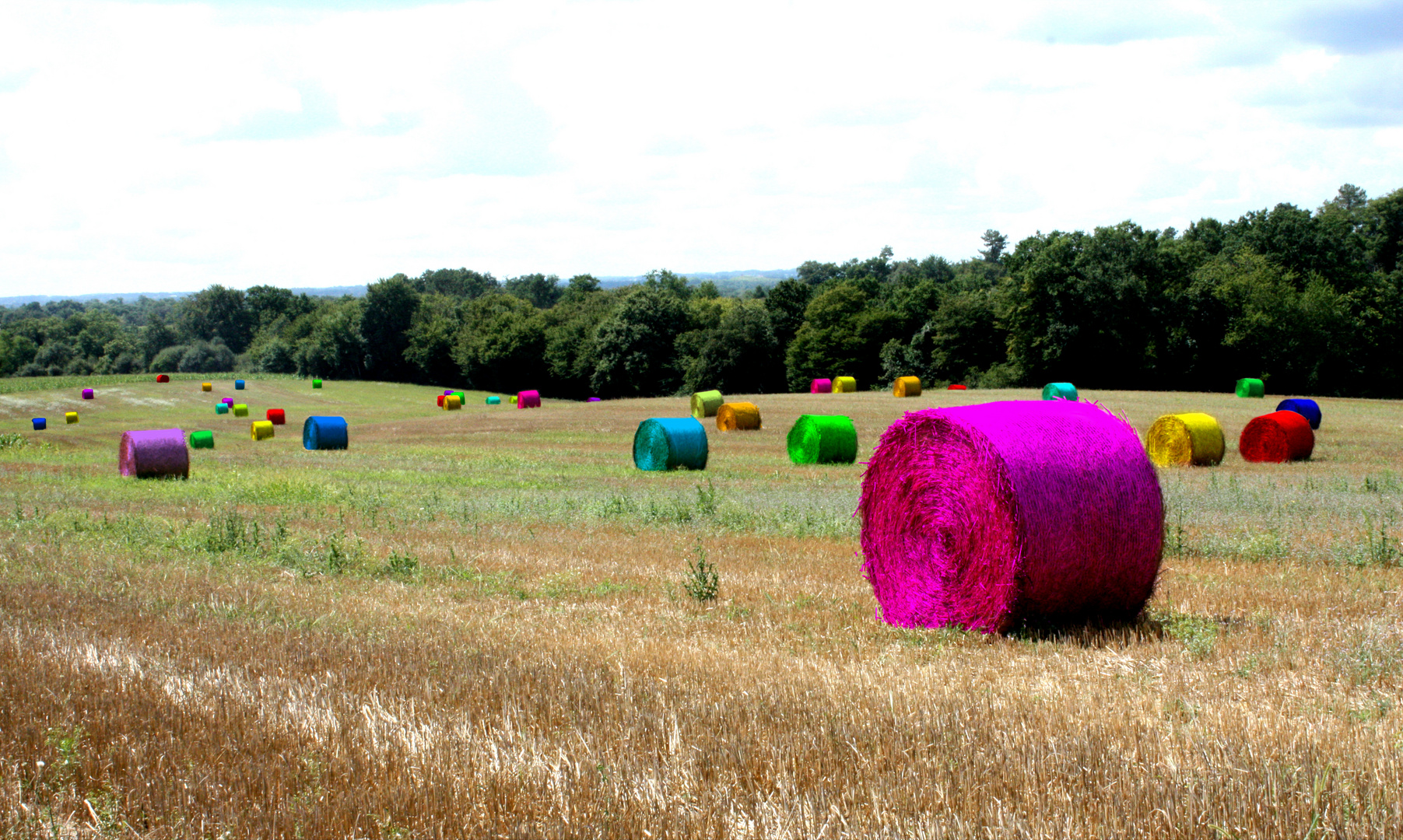 Couleurs fauchées.