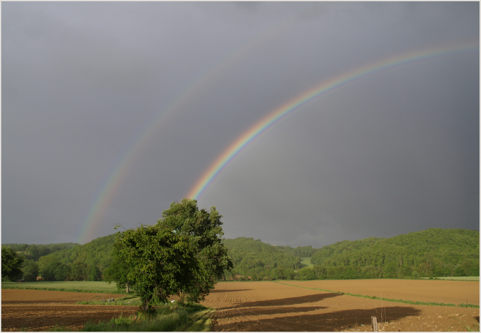 Couleurs libres du dimanche