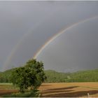 Couleurs libres du dimanche