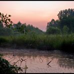 Couleurs matinale