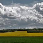 couleurs printanières sur le Vexin normand