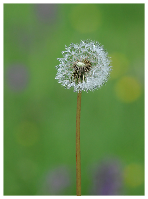 Couleurs Printemps