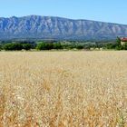 couleurs Provence !