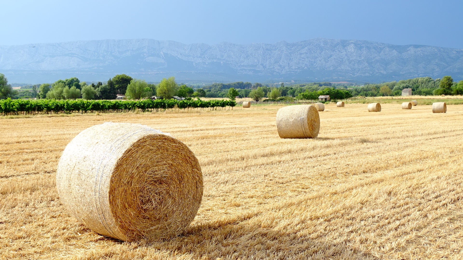 couleurs Provence !