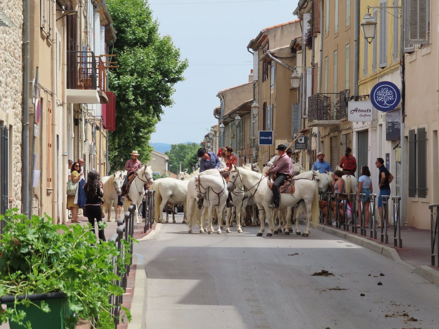 couleurs Provence !