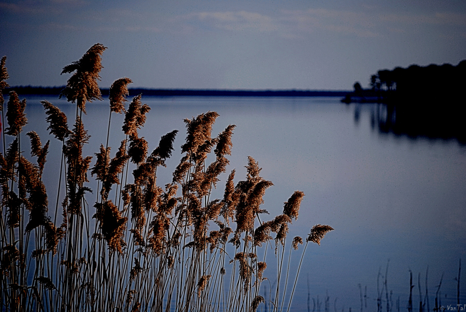 Couleurs tendres et indécises du crépuscule