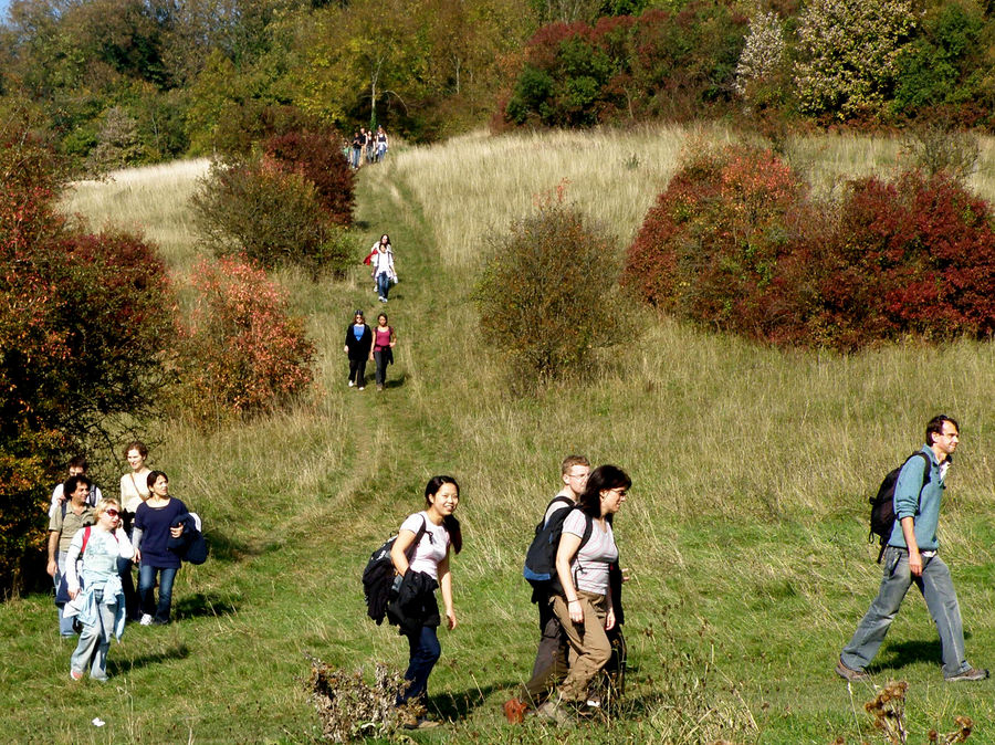 Coulsdon Walk