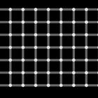 Count the black dots!