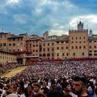 Countdown für den Palio