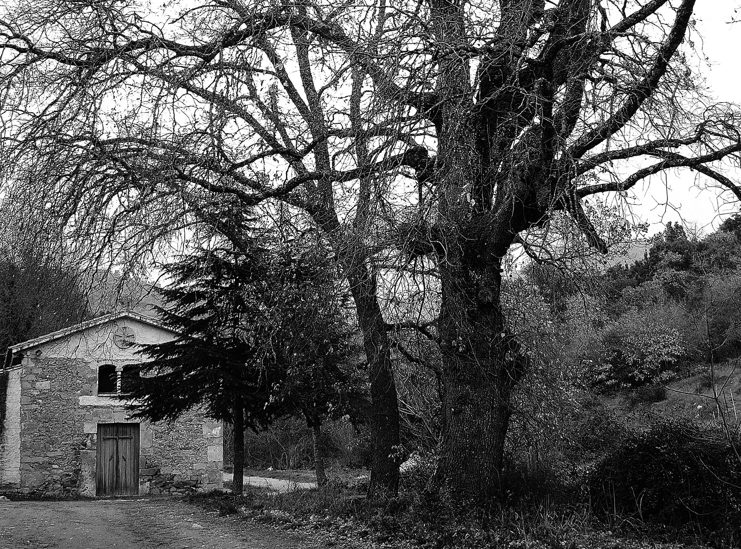 Country Church