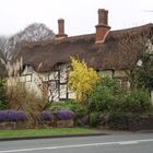 Country cottage