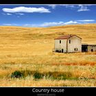 Country House