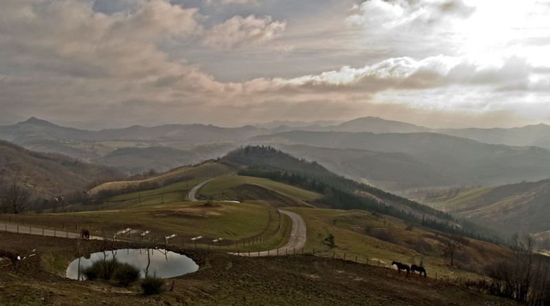 Country landscape