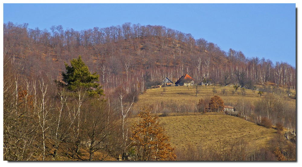 country landscape.....