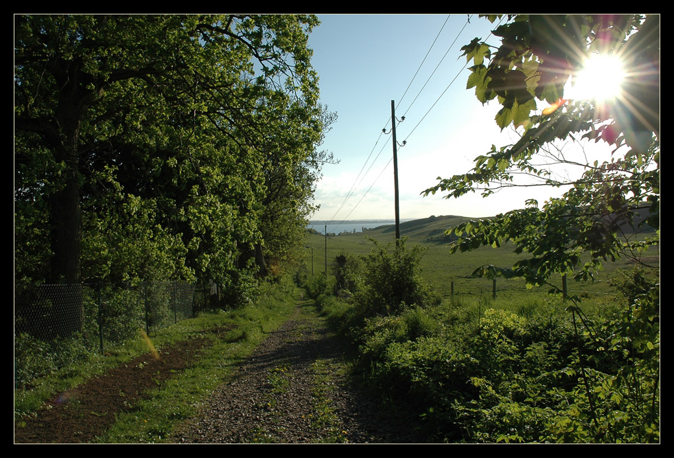 Country lane