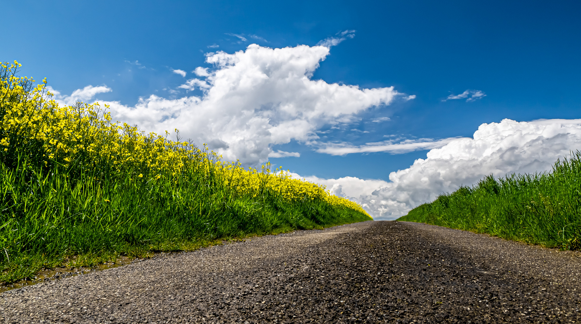 country lane