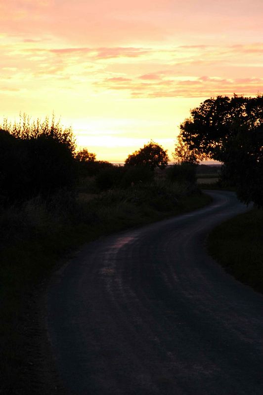 COUNTRY LANE IN YORKSHIRE, ENGLAND. NO 2