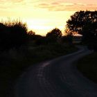 COUNTRY LANE IN YORKSHIRE, ENGLAND. NO 2