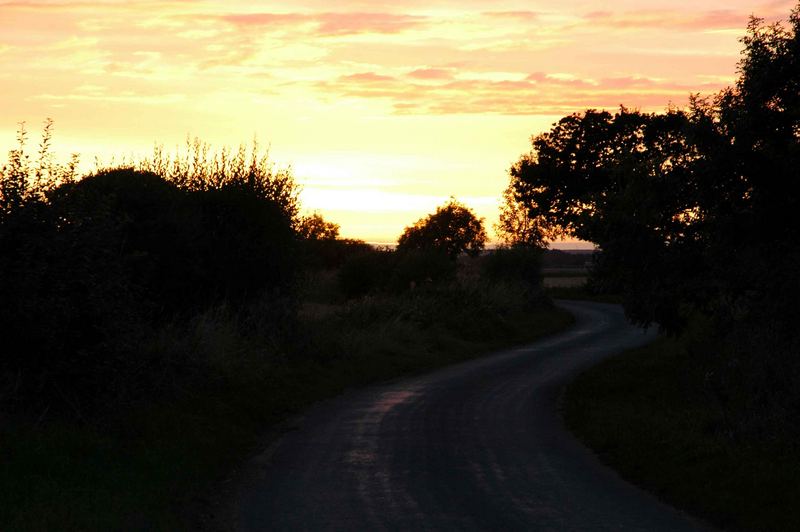 COUNTRY LANE IN YORKSHIRE, ENGLAND. NO 3