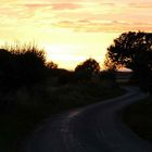 COUNTRY LANE IN YORKSHIRE, ENGLAND. NO 3