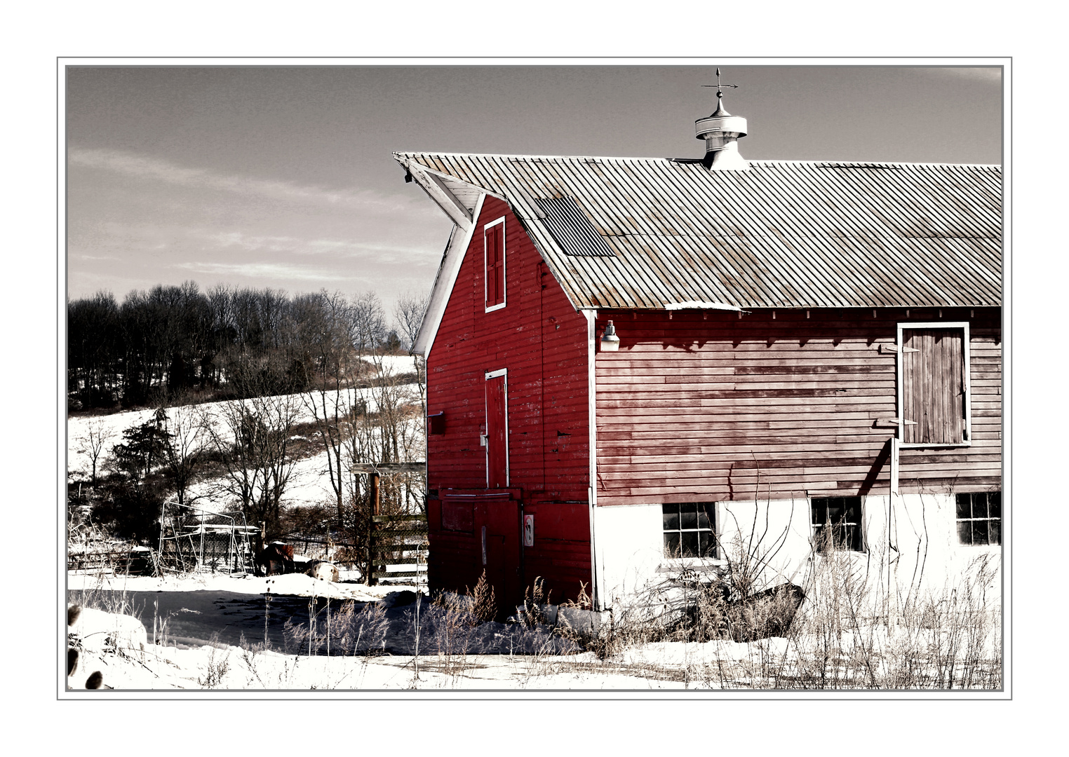 Country Life Americana V