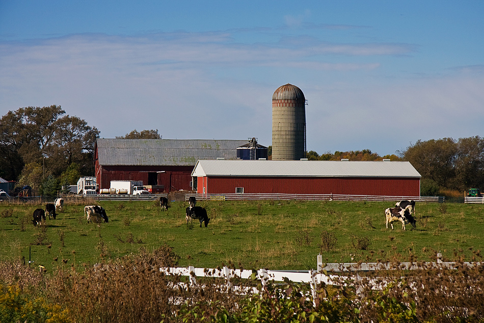 country life