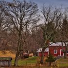 Country Living - Americana II