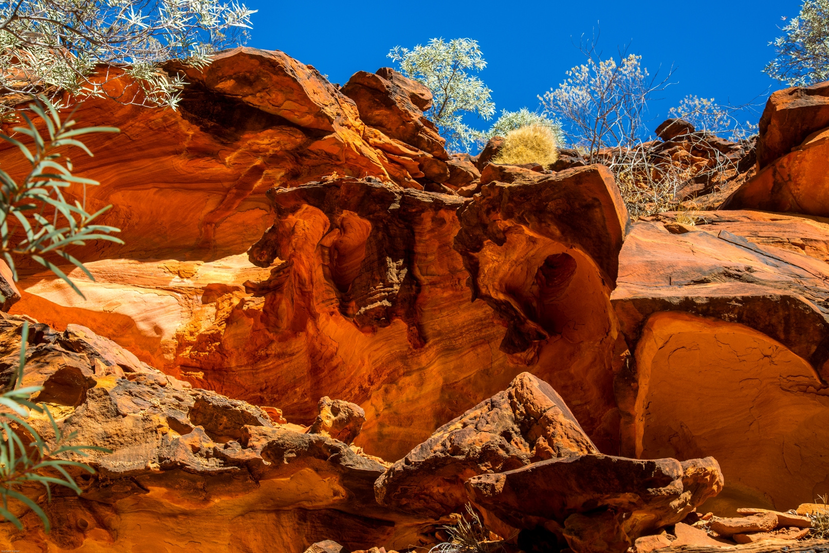 country of colours - red centre