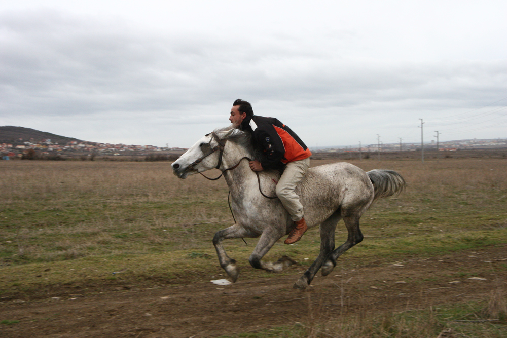 Country race