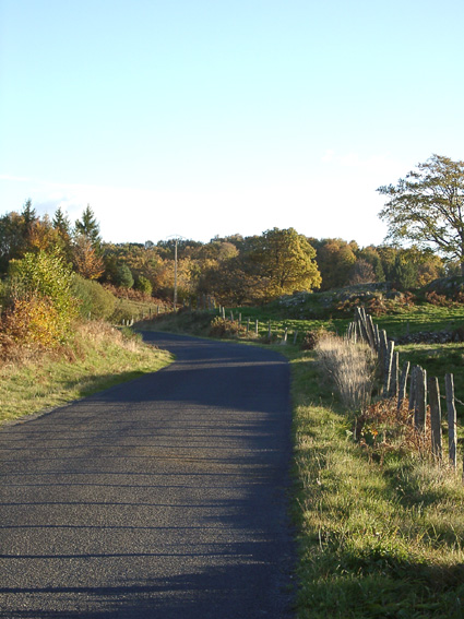 Country road