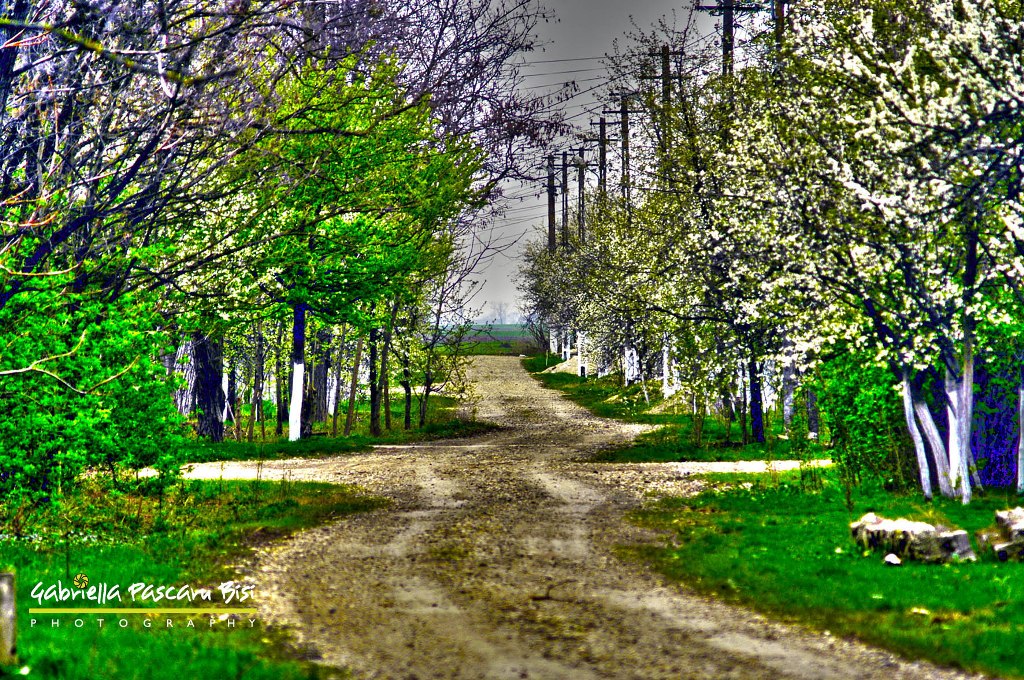 Country road