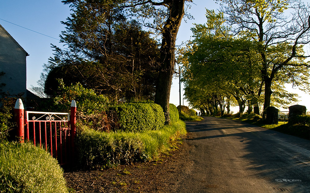 Country Road