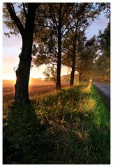 Country Road