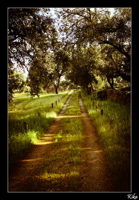 Country Road