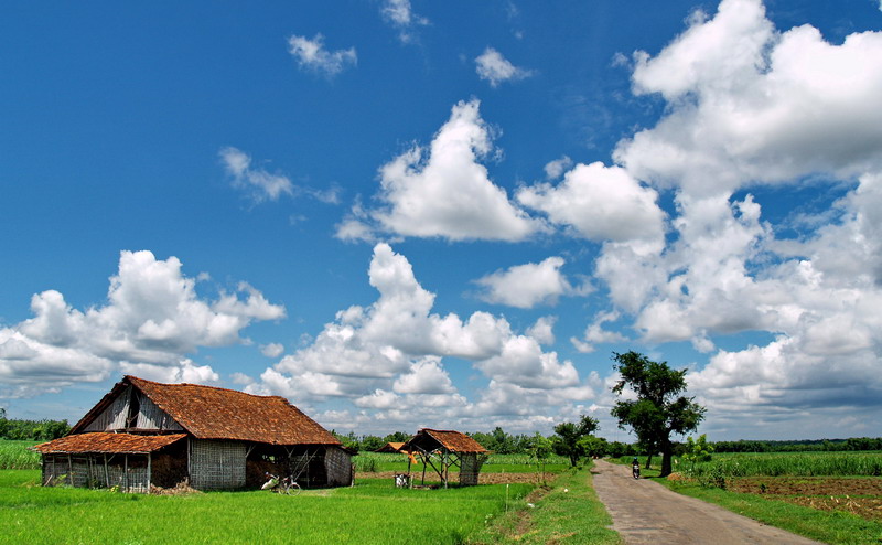 Country Road