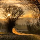 Country Road, Kentucky, USA