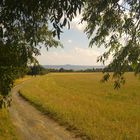 Country Roads, Hüllenberg