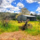 Country Shed