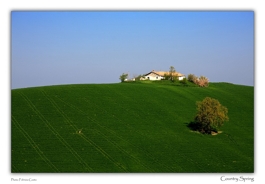 Country Spring