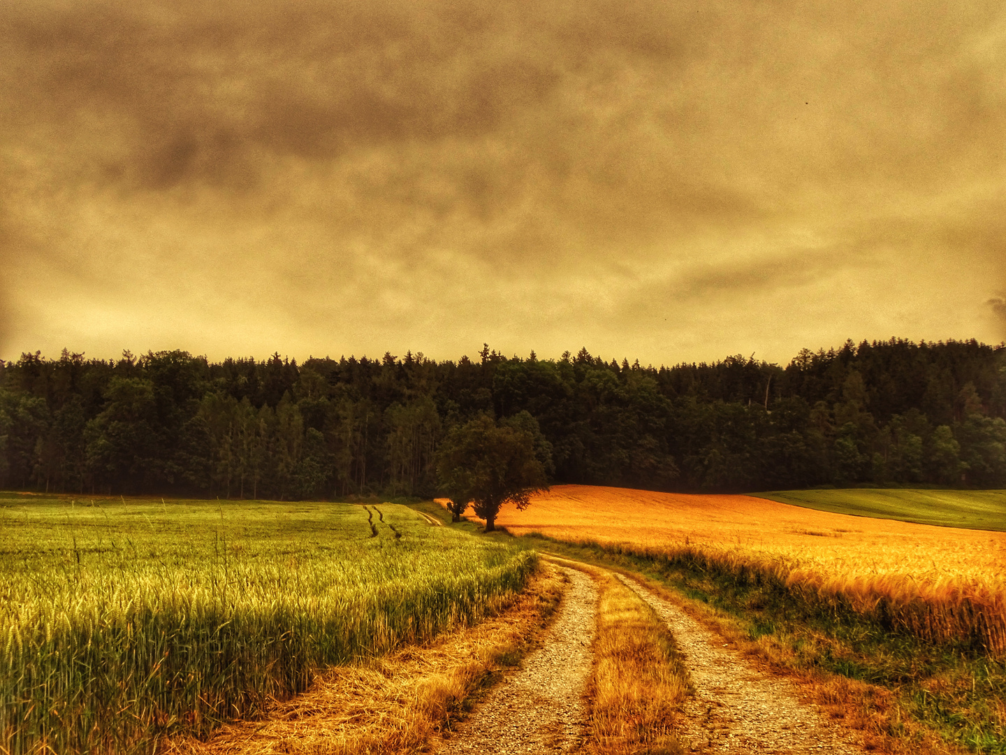 Country Summer Foto & Bild | natur, himmel, wolken Bilder auf fotocommunity