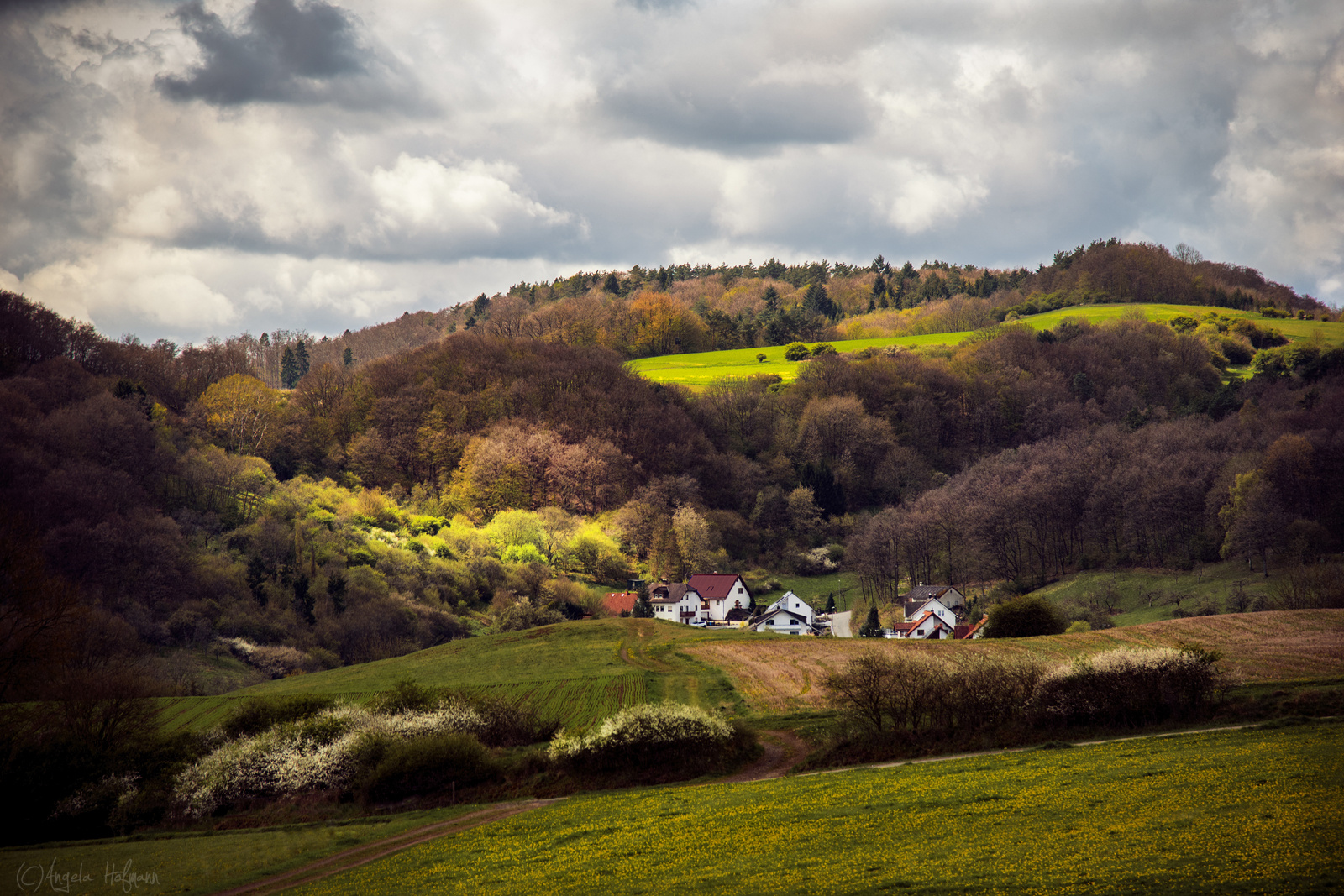 Countryside