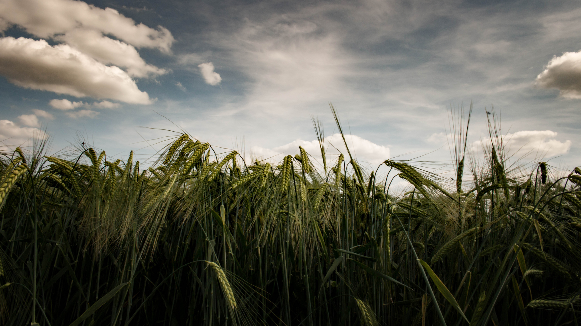 Countryside