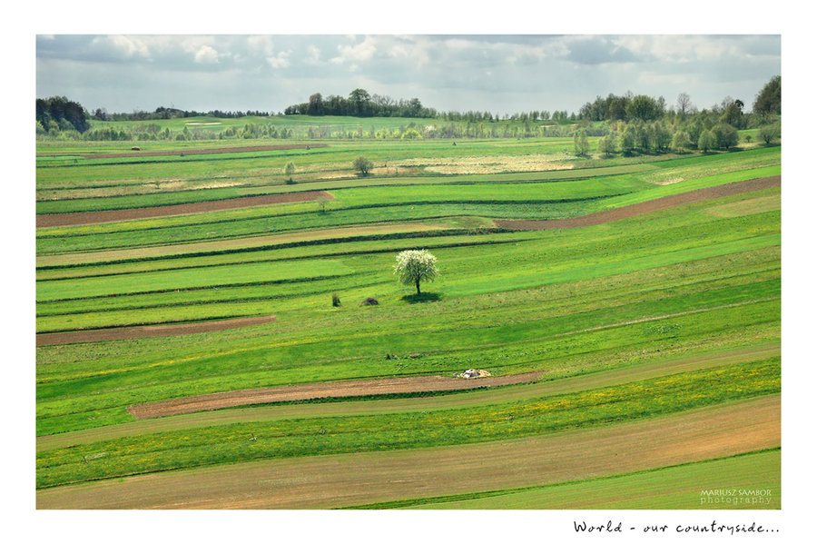 Countryside