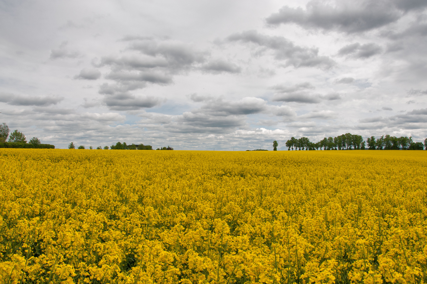 Countryside