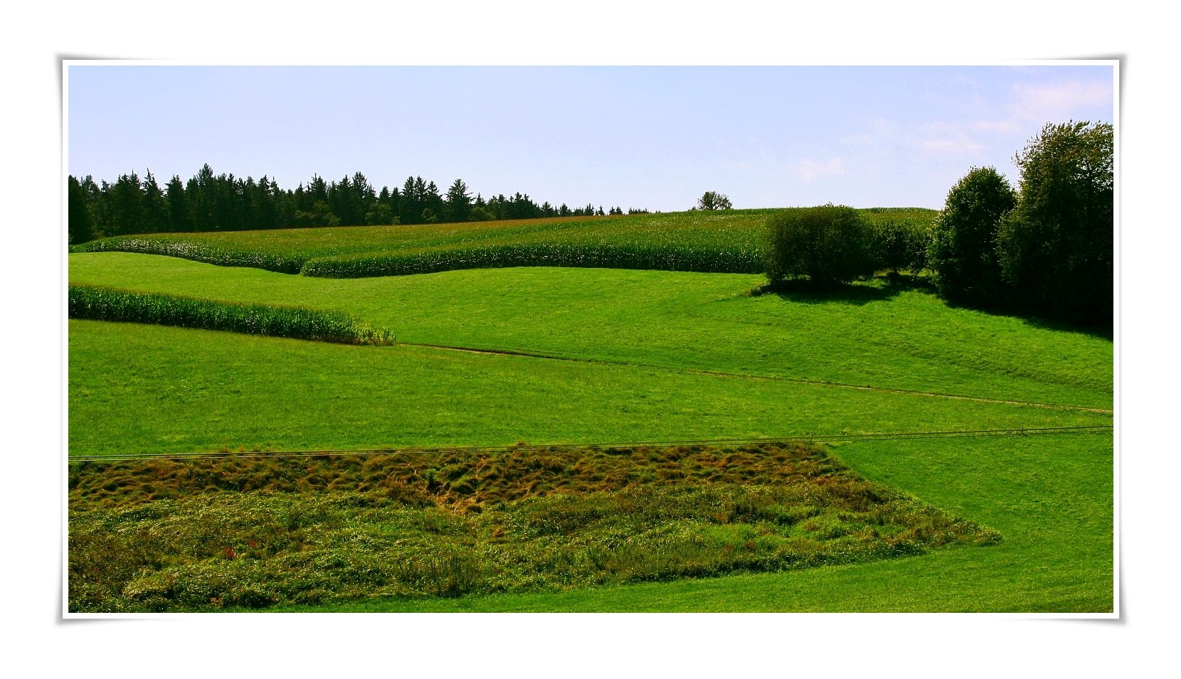 countryside