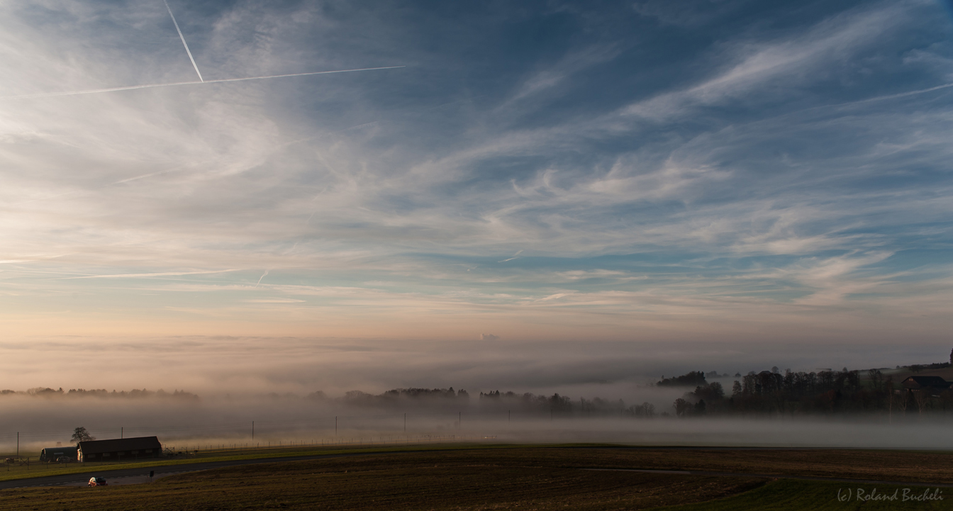 [ countryside engulfed in fog ]