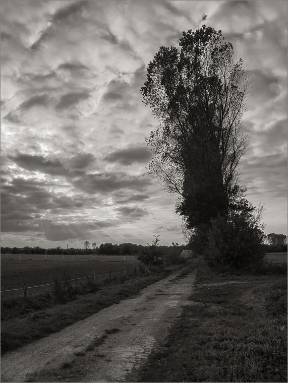 Countryside Highway