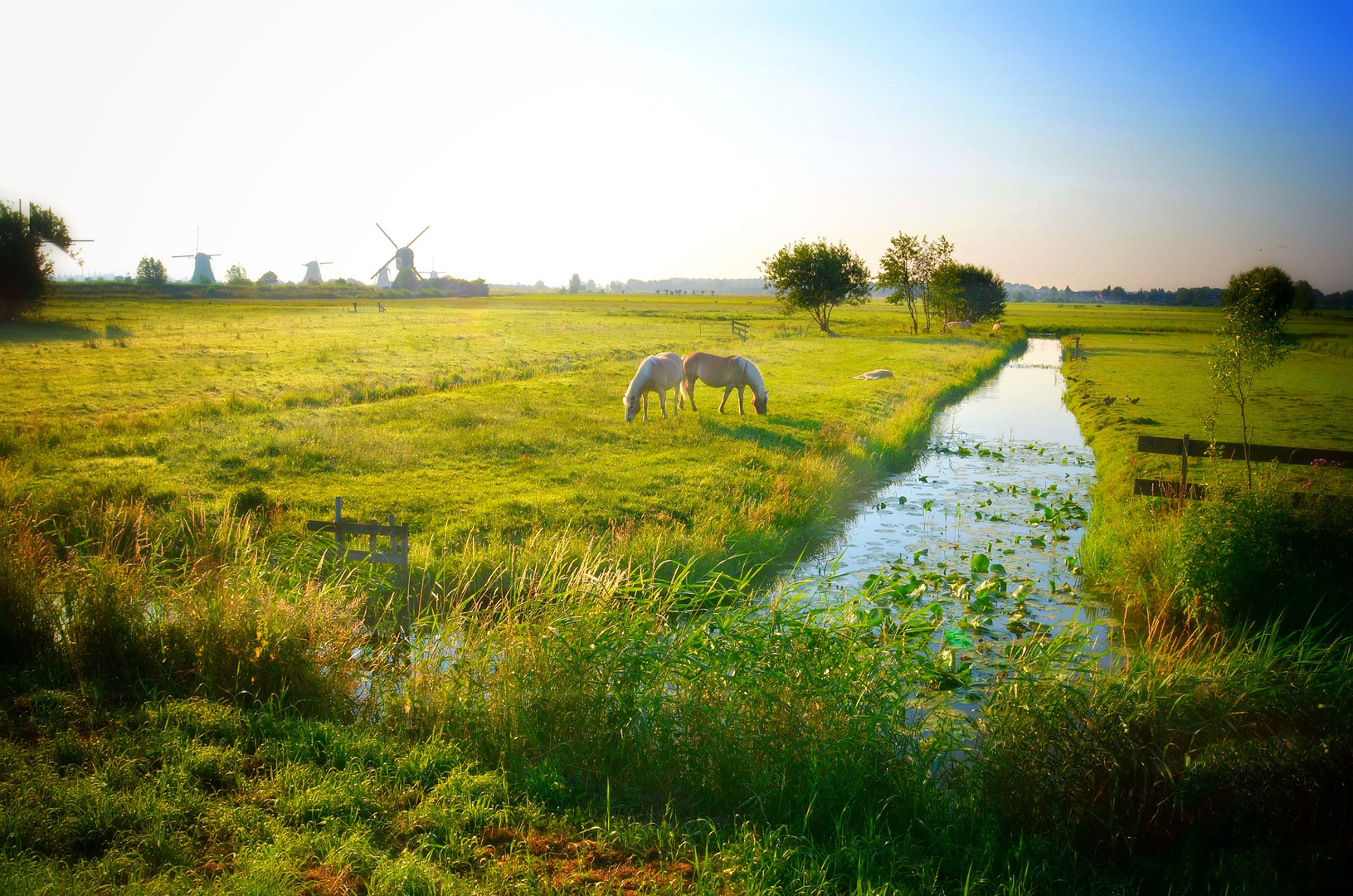 Countryside Holland Kinderdijk